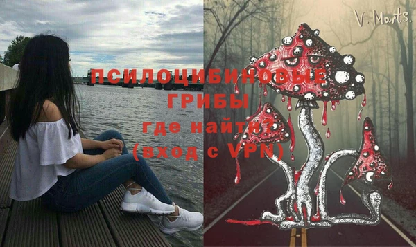 шишки Бугульма