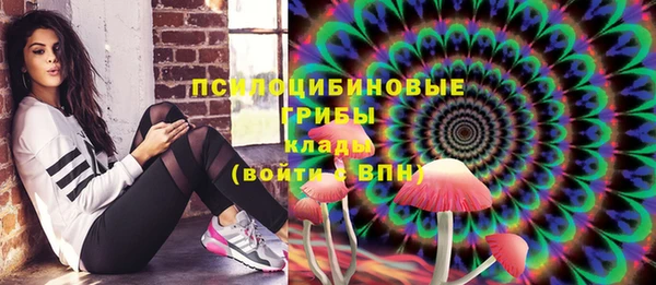 шишки Бугульма